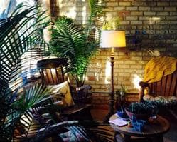 A cozy seating corner at Anne's Haven with plants and warm lamplight