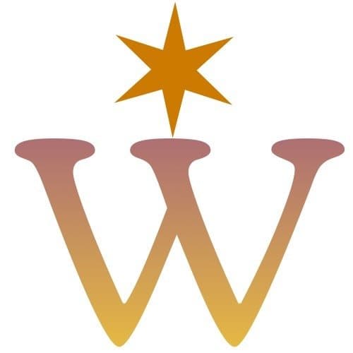 Well Chicago logo